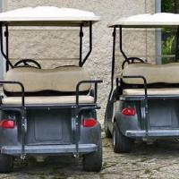 Currie Golf Carts image 2