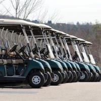 Currie Golf Carts image 3