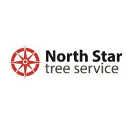North Star Tree Service Lilburn image 1