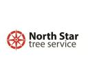 North Star Tree Service Lilburn logo