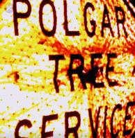 Polgar Tree Service & Removal LLC image 1