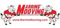 Marrins' Moving image 2