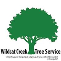 Wildcat Creek Tree Service image 1