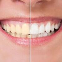 Choice Dental image 3