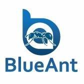 Blue Ant Inc Cleaning image 1