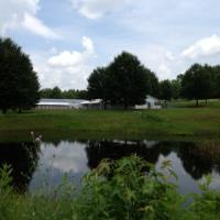 Tuscarora's Country Club for Dogs image 5