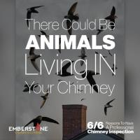 Emberstone Chimney Solutions Raleigh image 3