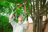 CC's Landscaping & Tree Service image 1