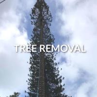 Isaiah’s Tree Service image 1