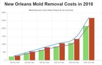All US Mold Removal New Orleans LA  image 3