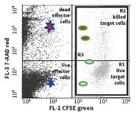 Colorimetric Cell Viability Assay image 1