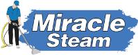 Miracle Steam image 1
