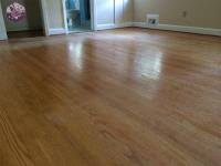 Carpet Cleaning East Norriton PA image 10