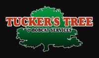 Tucker's Tree & Bobcat Services image 1