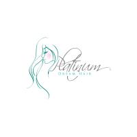  Platinum Dream Hair image 8