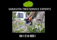 Sarasota Tree Service Experts image 4