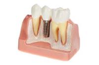 Noleen Dental image 2