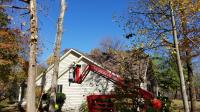 Peniel Landscaping & Tree Services image 4