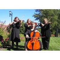 Rondo String Quartet image 1