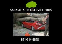 Sarasota Tree Service Pros image 4