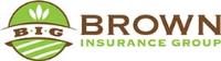 Brown Insurance Group image 1