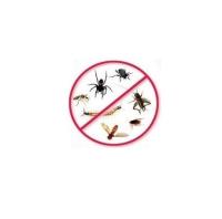 Pest Control in Overland Park image 1