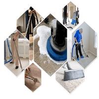 Carpet Cleaning Royals image 1