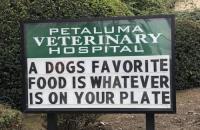 Petaluma Veterinary Hospital image 3