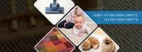 Charlotte Cleanpro - Carpet Cleaning image 1