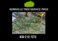 Kerrville Tree Service Pros image 2