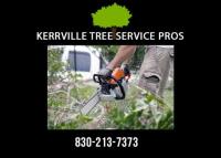 Kerrville Tree Service Pros image 4