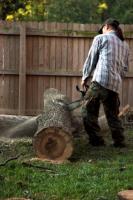 Duplin Mulching and Tree Service  image 1