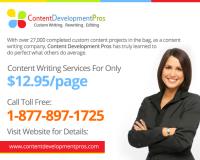 Content Development Pros image 2