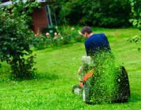 Greatcut Lawn Mowing Service LLC image 1