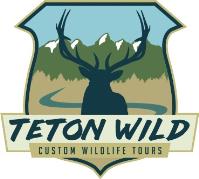 Teton Wild Custom Wildlife Tours image 1
