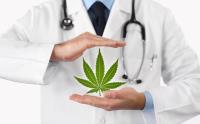 High Life Medical Marijuana Evaluation Center image 5