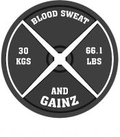 Blood Sweat and Gainz image 1