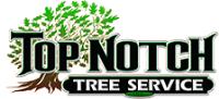 Top Notch Tree Services, LLC  image 2