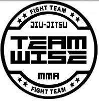 Team Wise Training Center image 1