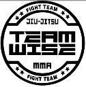 Team Wise Training Center logo