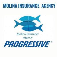 Molina Insurance Agency, LLC image 1