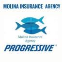 Molina Insurance Agency, LLC logo