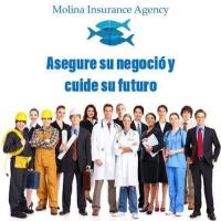 Molina Insurance Agency, LLC image 3