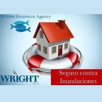 Molina Insurance Agency, LLC image 5