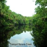 Country Club Properties of Spruce Creek image 3