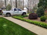 Cedar Lawn & Landscaping image 2