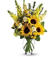Same Day Flower Delivery El Paso TX - Send Flowers image 3