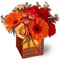 Same Day Flower Delivery El Paso TX - Send Flowers image 2