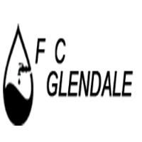 F2C Plumbing Glendale image 1