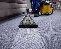 My Home Carpet Cleaner image 2